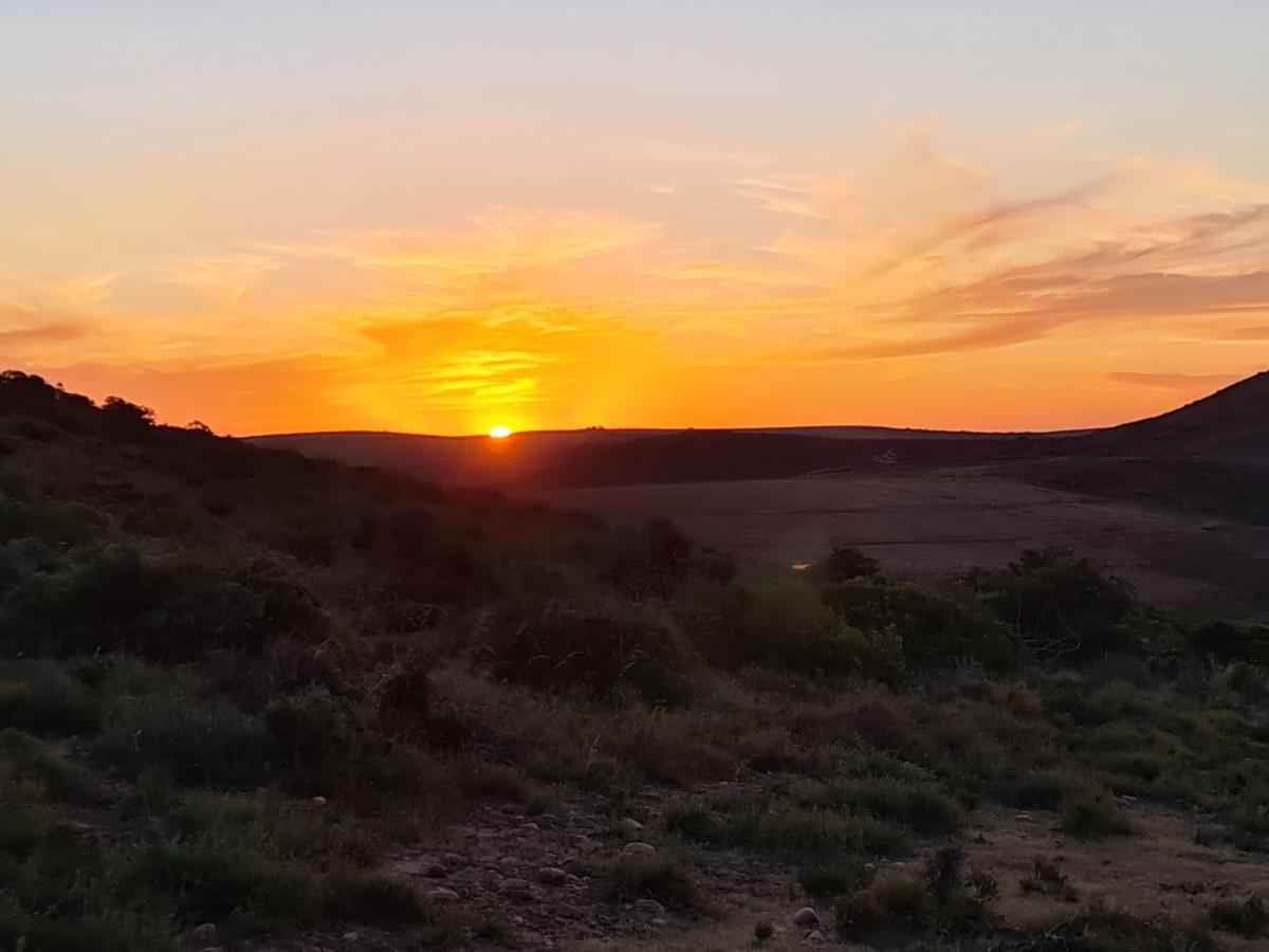 Indalu Game Reserve Boggomsbaai Exterior photo